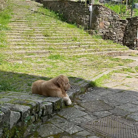 Aa Da Pinela-biassa-cinque Terre Апартаменты Biassa