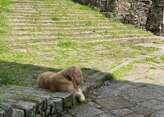 Aa Da Pinela-biassa-cinque Terre شقة Biassa